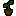 Willow Sapling